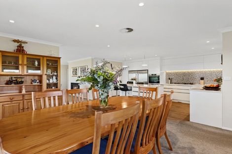 Photo of property in 229a Warner Road, Oropi, Tauranga, 3173
