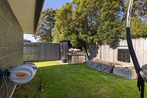 Photo of property in 29 Monarch Drive, Ashhurst, 4810