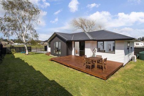 Photo of property in 29 Smith Street, Waihi, 3610