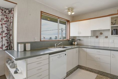Photo of property in 28a Sheen Street, Roslyn, Dunedin, 9010