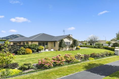 Photo of property in 48 Hagart-alexander Drive, Mosgiel, 9024