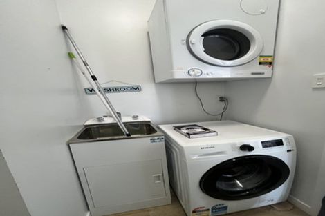 Photo of property in 56 Coromandel Street, Newtown, Wellington, 6021