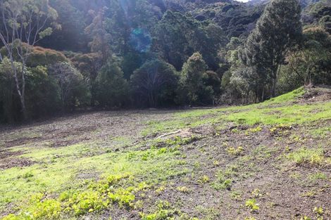 Photo of property in 104a Irishtown Road, Thames, 3500