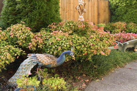 Photo of property in 11 Allington Place, Bethlehem, Tauranga, 3110