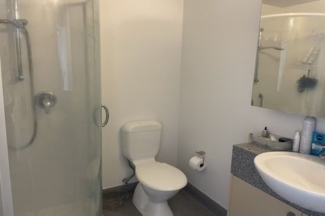 Photo of property in Dual Apartments, 406/142u Vivian Street, Te Aro, Wellington, 6011