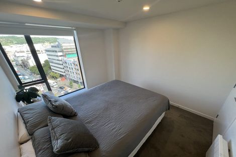 Photo of property in Vsp South, 801/168u Victoria Street, Te Aro, Wellington, 6011