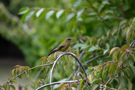 Photo of property in 515 Mount Barker Road, Wanaka, 9382