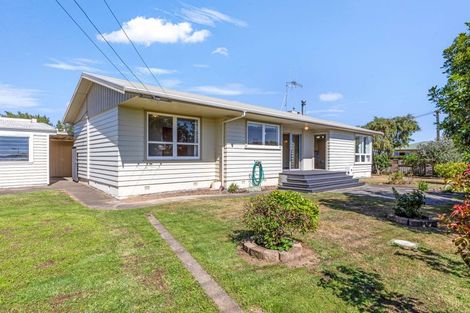 Photo of property in 32 Parsons Avenue, Levin, 5510