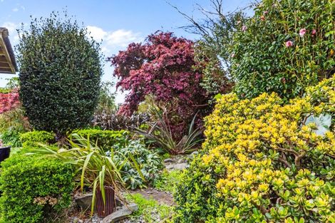 Photo of property in 21 Walnut Grove, Omokoroa, 3114
