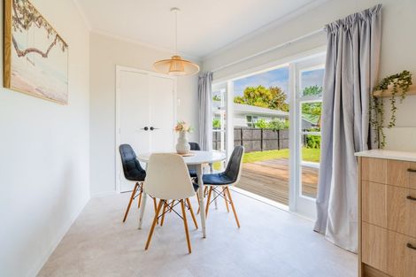 Photo of property in 17 Brown Street, Hamilton East, Hamilton, 3216