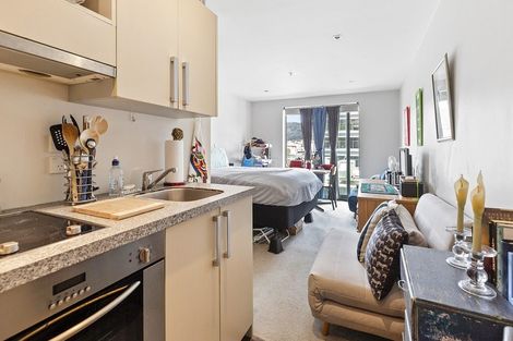 Photo of property in Dual Apartments, 306/142u Vivian Street, Te Aro, Wellington, 6011