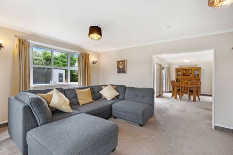 Photo of property in 52 John F Kennedy Drive, Milson, Palmerston North, 4414
