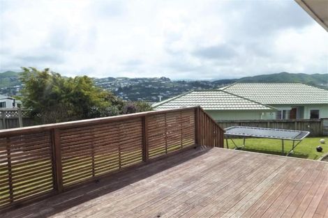 Photo of property in 25 Pelorous Street, Paparangi, Wellington, 6037