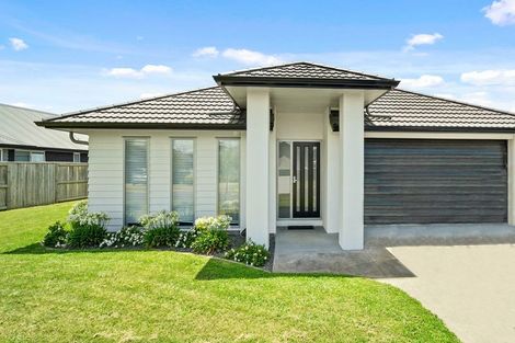 Photo of property in 35 Materawaho Way, Pyes Pa, Tauranga, 3112