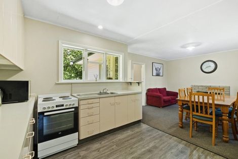 Photo of property in 12 Tekoa Street, Waiau, 7332