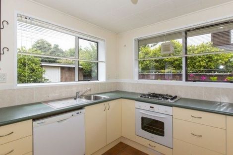 Photo of property in 31c Mahoe Street, Hutt Central, Lower Hutt, 5010