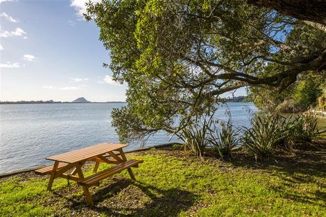 Photo of property in 238 Maungatapu Road, Maungatapu, Tauranga, 3112