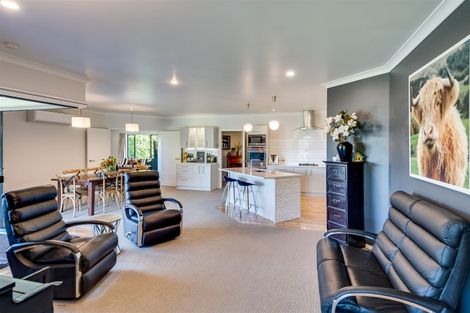 Photo of property in 113 Kent Terrace, Taradale, Napier, 4112
