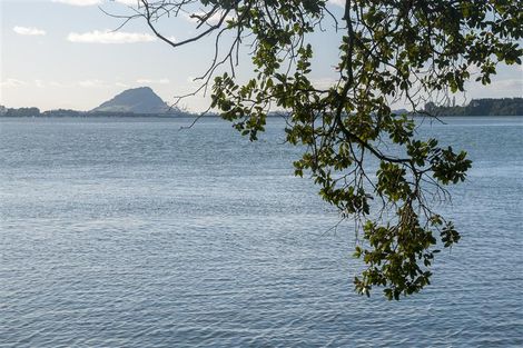 Photo of property in 238 Maungatapu Road, Maungatapu, Tauranga, 3112