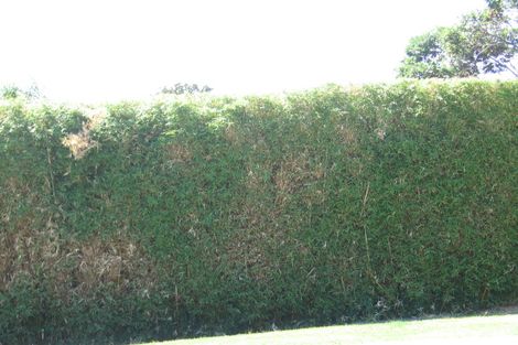 Photo of property in 49 Rothesay Bay Road, Rothesay Bay, Auckland, 0630
