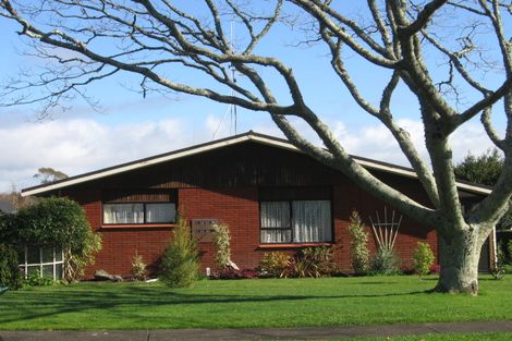 Photo of property in 113a Grace Road, Tauranga South, Tauranga, 3112