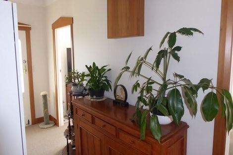 Photo of property in 24 Mcgregor Street, Milson, Palmerston North, 4414