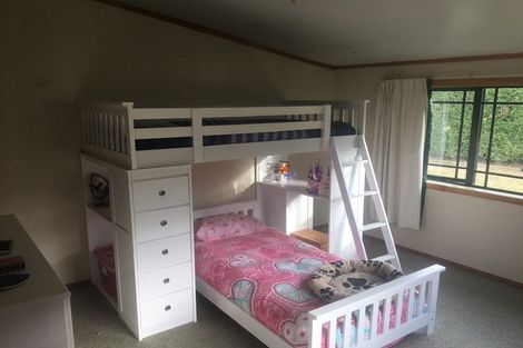 Photo of property in 360 Mutiny Road, Poukawa, Hastings, 4172