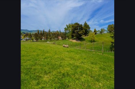 Photo of property in 546 Norsewood Ormondville Road, Ormondville, Dannevirke, 4977