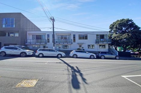 Photo of property in 207 Tasman Street, Mount Cook, Wellington, 6021
