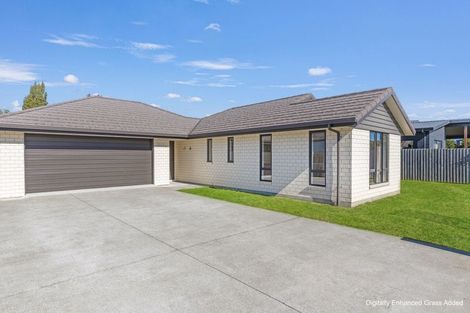 Photo of property in 3 Blackmore Place, Springlands, Blenheim, 7201