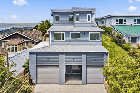 Photo of property in 91 Karepa Street, Brooklyn, Wellington, 6021