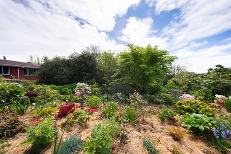 Photo of property in 31 Andrew Street, Marchwiel, Timaru, 7910