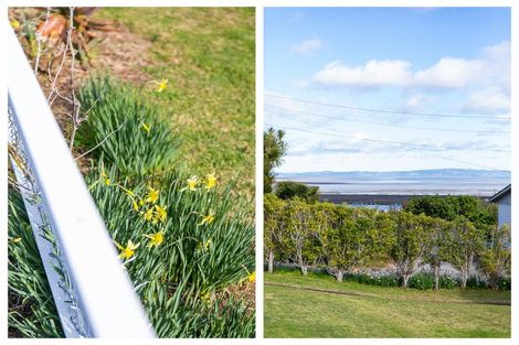 Photo of property in 107 Hauraki Terrace, Thames, 3500