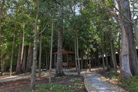 Photo of property in 5 Spudman Rise, Pukekohe, 2120