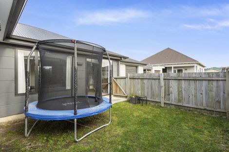 Photo of property in 63b Royal Crescent, Saint Kilda, Dunedin, 9012