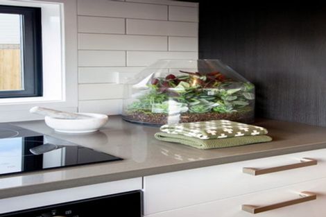 Photo of property in 5 Whati Lane, Henderson, Auckland, 0612