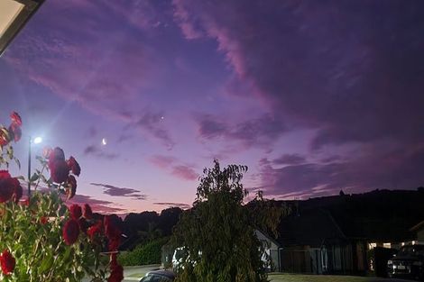 Photo of property in 29 Wingfield Road, Pokeno, 2402