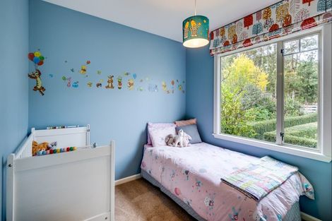 Photo of property in 549 Middle Road, Poukawa, Hastings, 4172