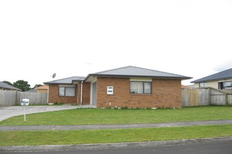 Photo of property in 13 Marblewood Grove, Pukekohe, 2120