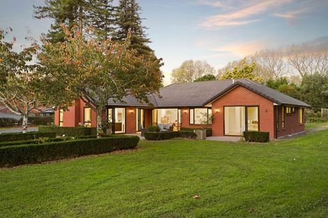 Photo of property in 20 Tanaka Drive, Tamahere, Hamilton, 3283