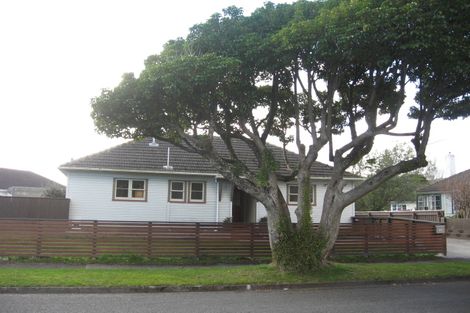 Photo of property in 13 Pilcher Crescent, Naenae, Lower Hutt, 5011