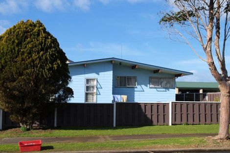 Photo of property in 20 Dewhurst Place, Favona, Auckland, 2024