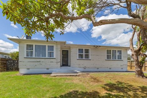 Photo of property in 16 Ferguson Street, Levin, 5510