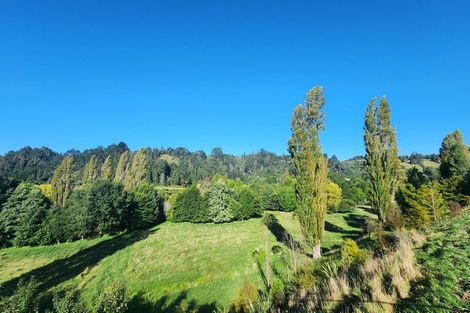 Photo of property in Waitao Road, Waitao, Tauranga, 3175