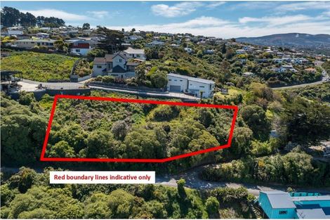 Photo of property in 2l Clayton Street, Saint Clair, Dunedin, 9012