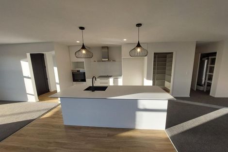 Photo of property in 69 Nethercote Way, Rolleston, 7614