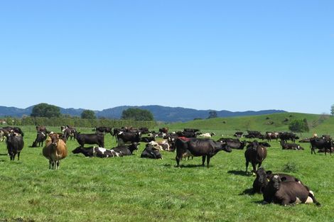 Photo of property in 30 Mathers Road, Hoon Hay, Christchurch, 8025