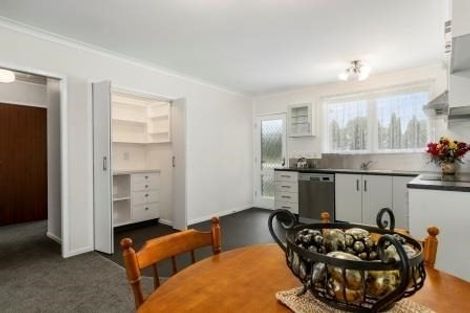 Photo of property in 46 Seventeenth Avenue, Tauranga South, Tauranga, 3112