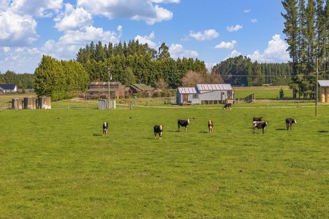 Photo of property in 185 Worlingham Road, Eyrewell, Rangiora, 7476