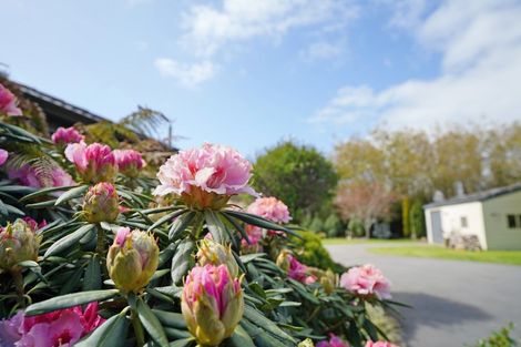 Photo of property in 420 Mcivor Road, Myross Bush, Invercargill, 9876